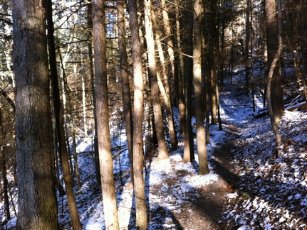 Winter on the Sheltowee Trace - 1